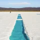 salinas